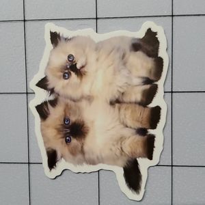 CAT Sticker
